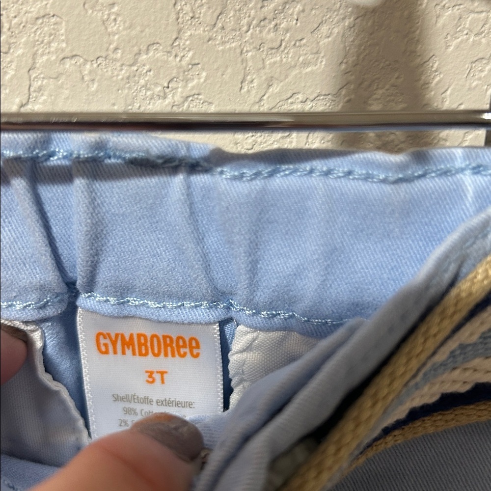 Gymboree Boys Belted Chino Pants - Garden Party - Blue - Picture 5 of 6